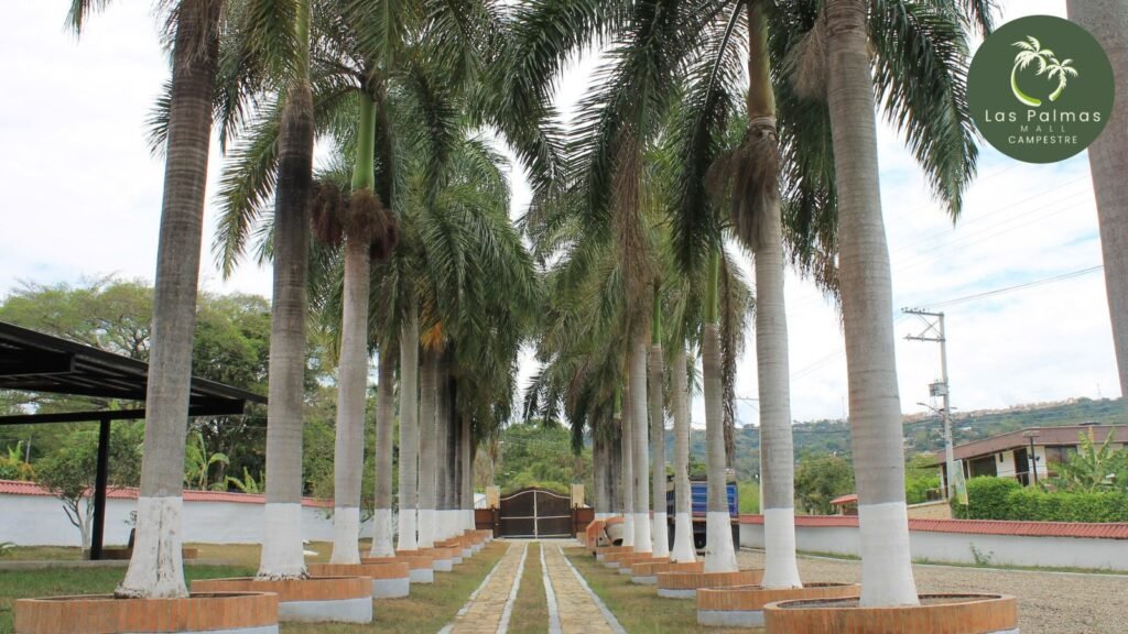 WhatsApp Image 2026-03-02 at 1.11.36 PM9